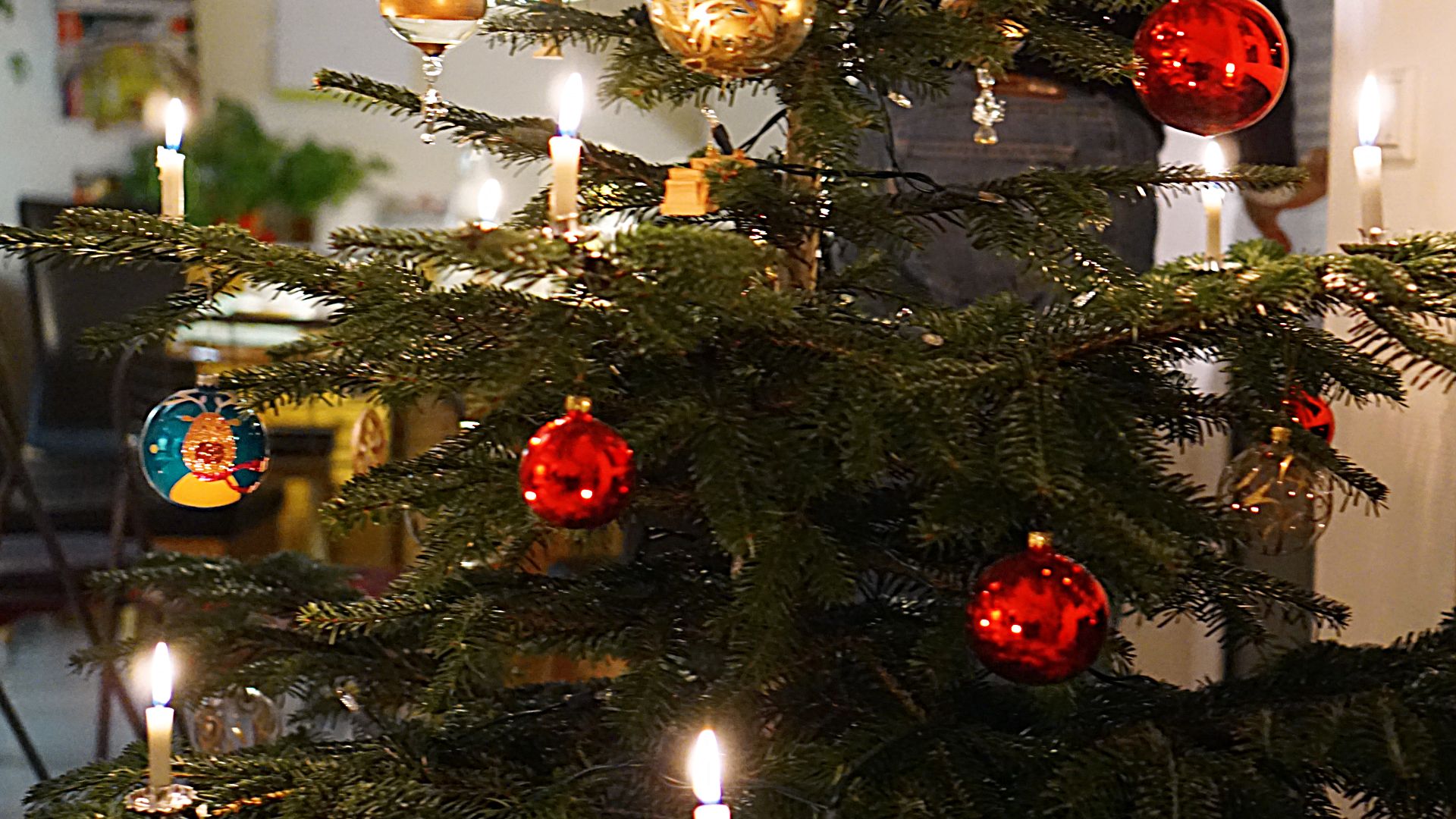 christmas tree